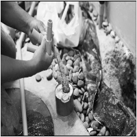 수원정화조청소 PC 갤러리 5